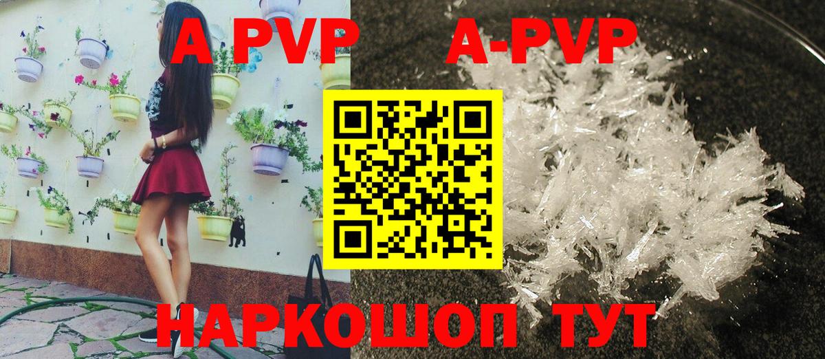 Гагарин  APVP СК КРИС  Вход с VPN  Альфа ПВП крисы CK 