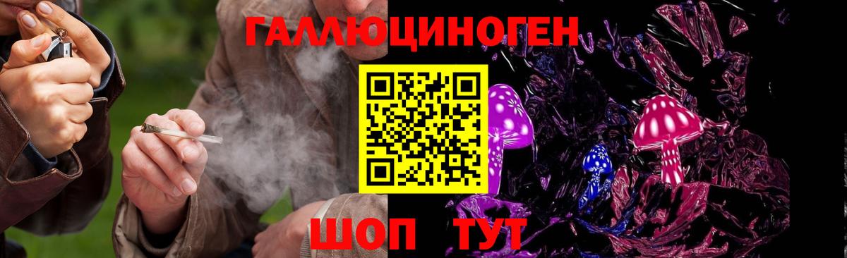 Псилоцибиновые грибы прущие грибы  Вход с VPN  Гагарин 